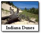 Indiana Dunes